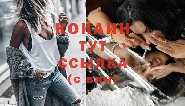 mdpv Дмитров