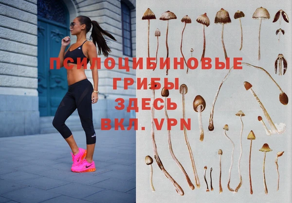 бутик Дмитриев