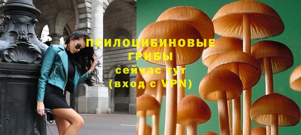 mdpv Дмитров