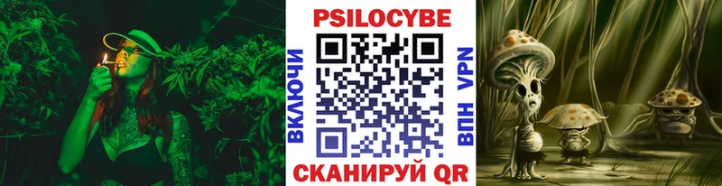 Купить  Анадырь  Галлюциногенные грибы GOLDEN TEACHER 